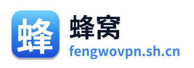 蜂窝VPN Logo
